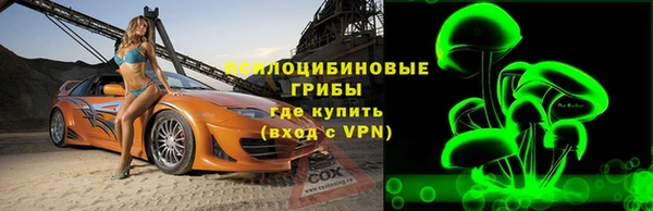 тгк Бронницы