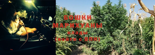 тгк Бронницы