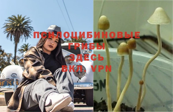 ECSTASY Бугульма