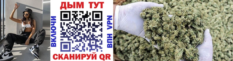 Купить закладки  Бавлы  Бошки марихуана THC 21% 